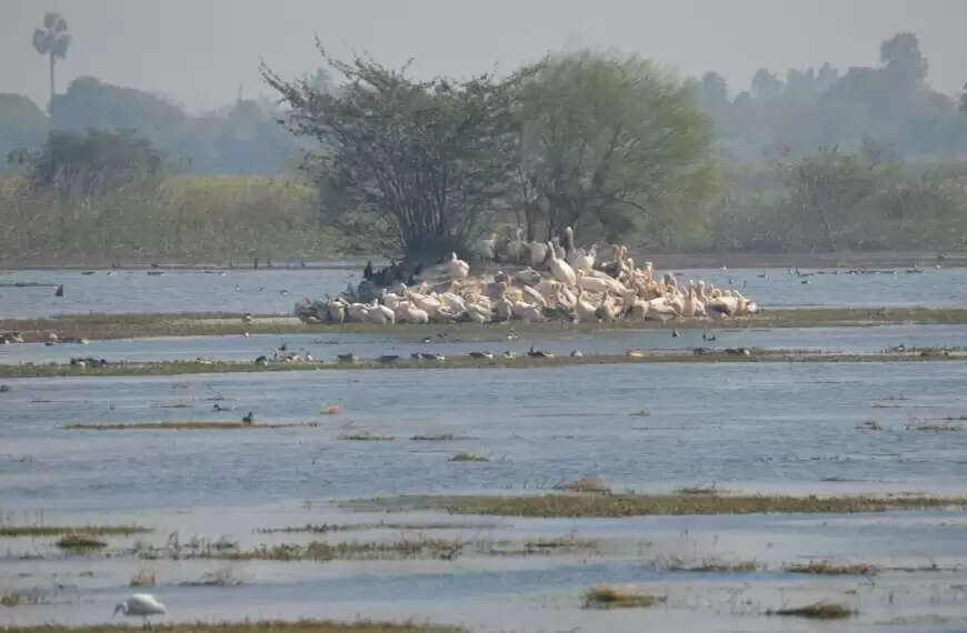कन्नौज : समाज कल्याण मंत्री ने लाख बहोसी पक्षी विहार के विकास की बनाई याेजना, अधिकारियाें से की चर्चा