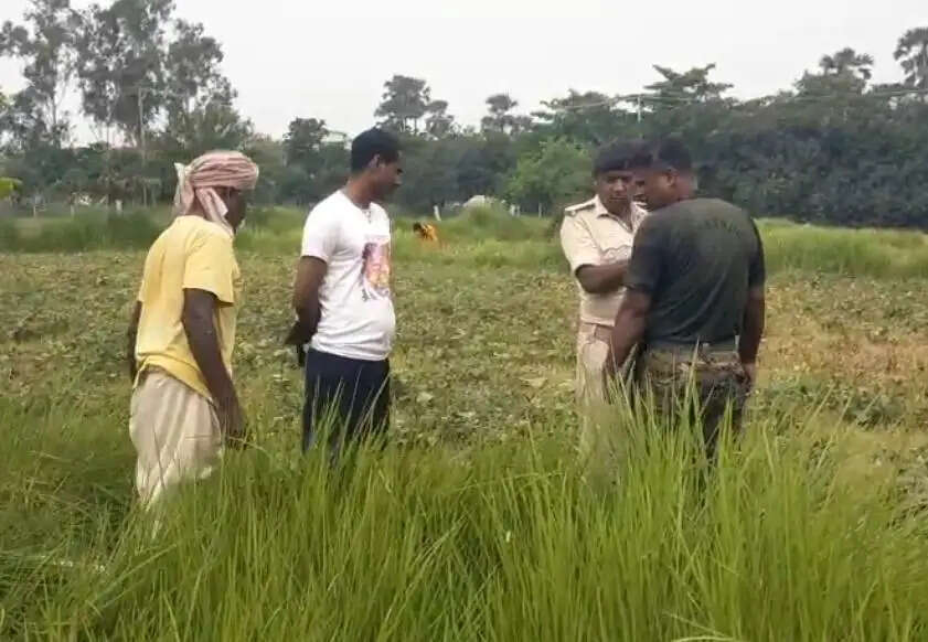 खेत से सिंचाई के लिए लगाए गए मोटर की चोरी
