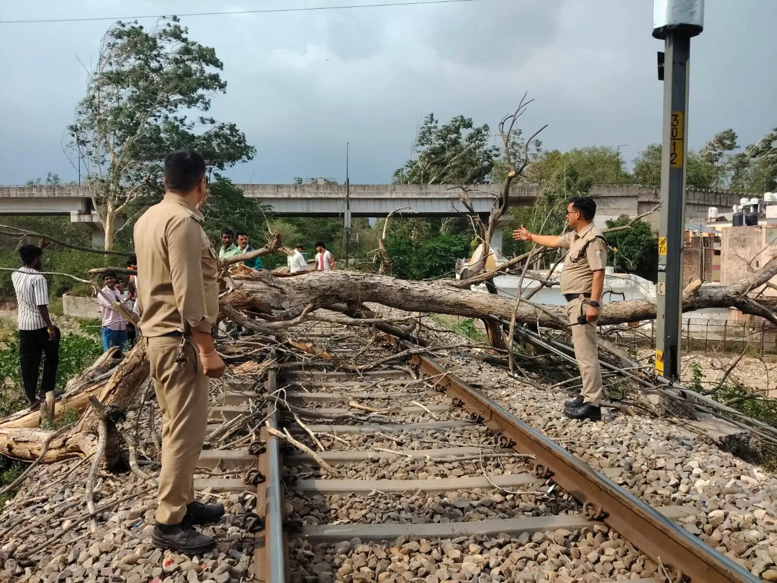 हरिद्वार–मोतीचूर रेलखंड पर वृक्ष गिरने से रेलमार्ग बाधित, वंदे भारत समेत कई ट्रेनें प्रभावित