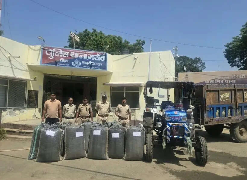 मप्र में नशे के खिलाफ बड़ी कार्रवाई, 5 दिन में 3.91 करोड़ का माल जब्त, खरगोन में 5,974 किलो गांजा पकड़ा