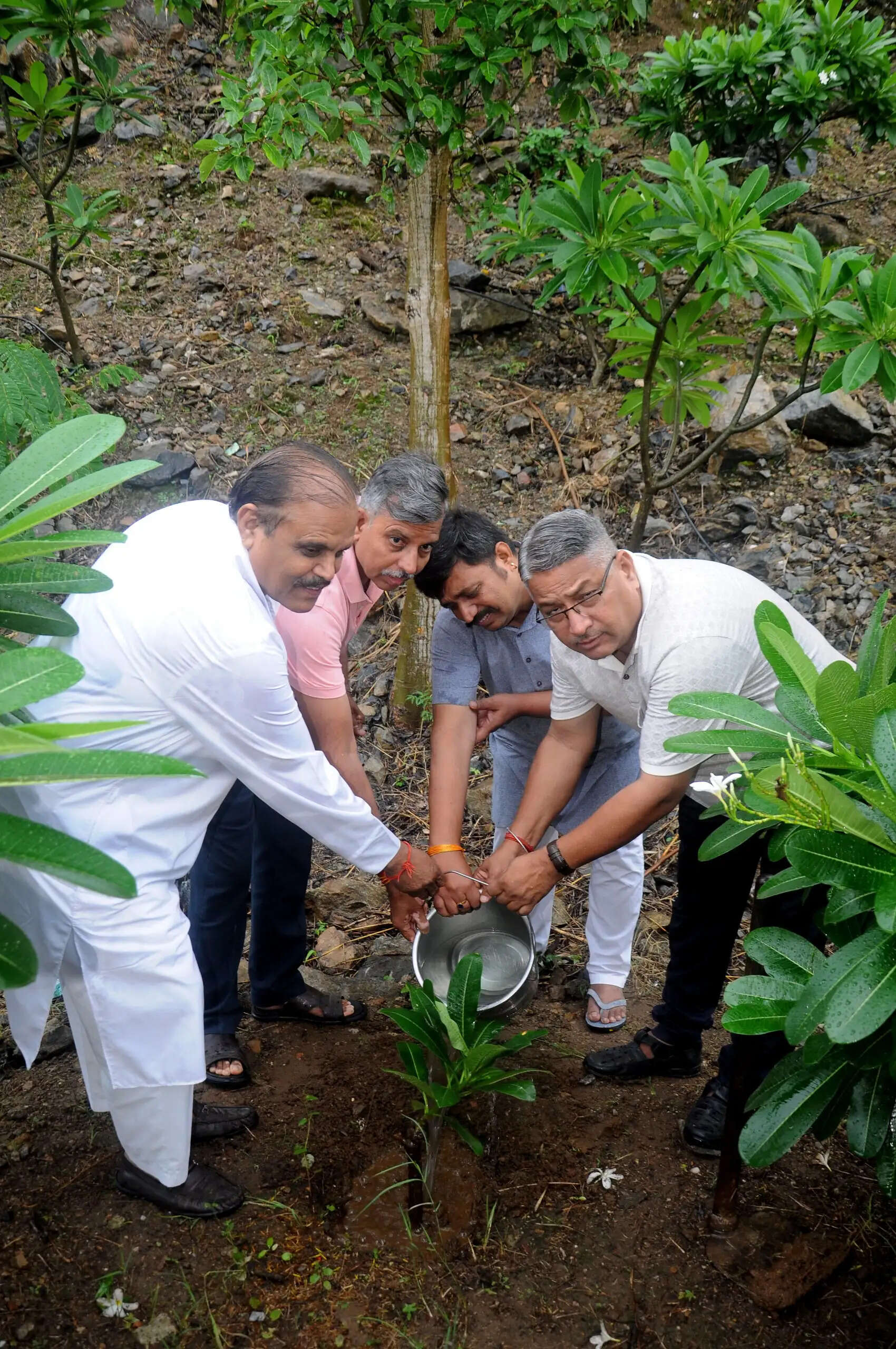 हरियाली अमावस्या पर प्रताप गौरव केन्द्र में रोपे पौधे