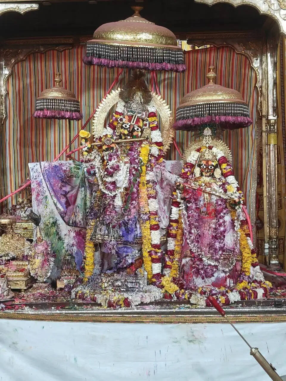 श्री गोविंददेवजी मंदिर में रंगों की बौछार: ठाकुरजी संग भक्तों ने खेली फूलों की होली
