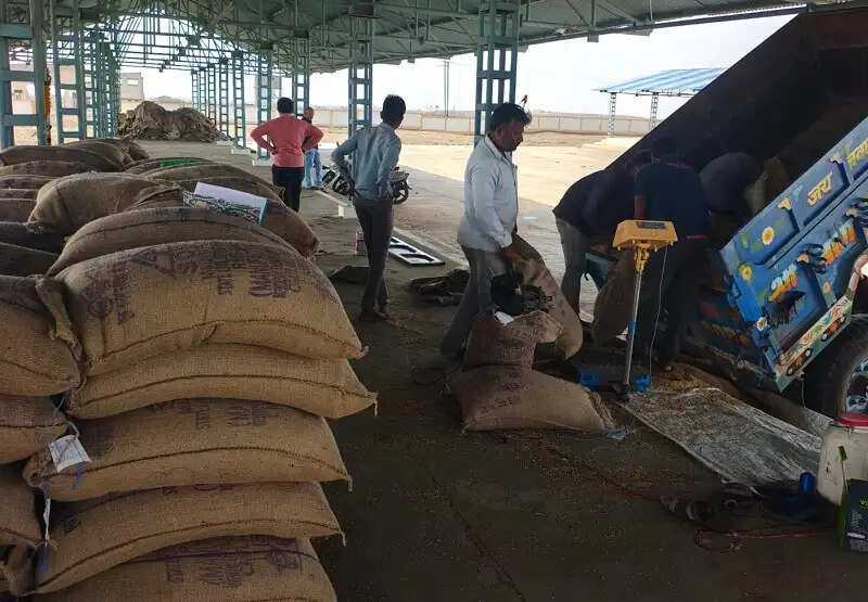 मप्र में समर्थन मूल्य पर गेहूं का उपार्जन शुरू, पहले दिन हुई 1616 क्विंटल खरीदी