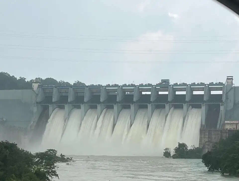 मिनीमाता हसदेव बांगो बांध के 9 गेट खुले, 41,080 क्यूसेक पानी हसदेव नदी में छोड़ा जा रहा