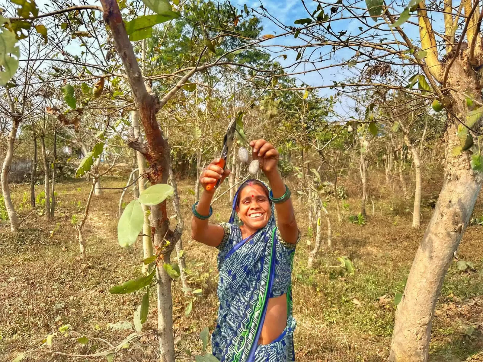 रेशम विभाग एवं महात्मा गांधी नरेगा के समन्वित प्रयासों से अर्जुन पौधरोपण एवं जल संरक्षण कार्यों ने दिलाई नई दिशा