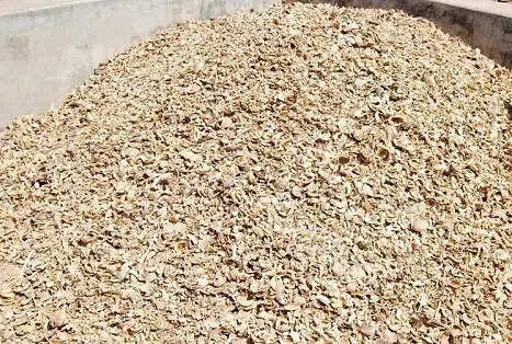 मंदसौर में 60 किलो डोडाचूरा के साथ दो अंतरराज्यीय तस्कर गिरफ्तार