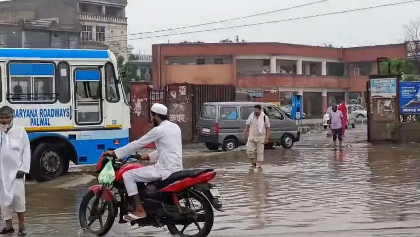 नूंह में मूसलाधार बारिश से शहर हुआ जलमग्न, सरकारी कार्यालयों में भी भरा पानी