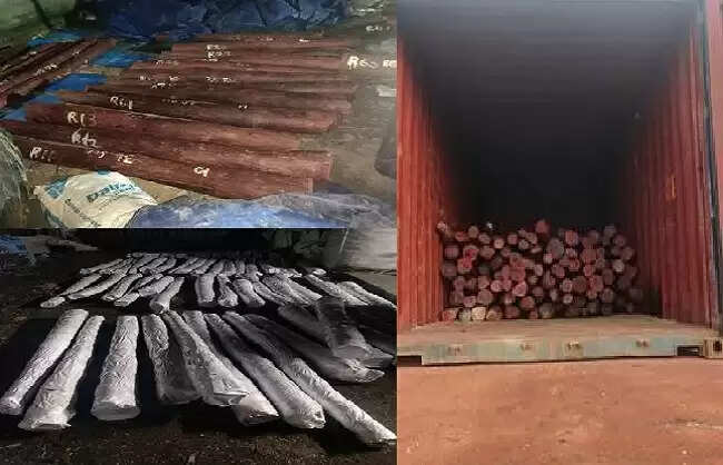 डीआरआई ने चेन्नई में 6.26 करोड़ रुपये मूल्य का 15 एमटी लाल चंदन किया जब्त, चार गिरफ्तार