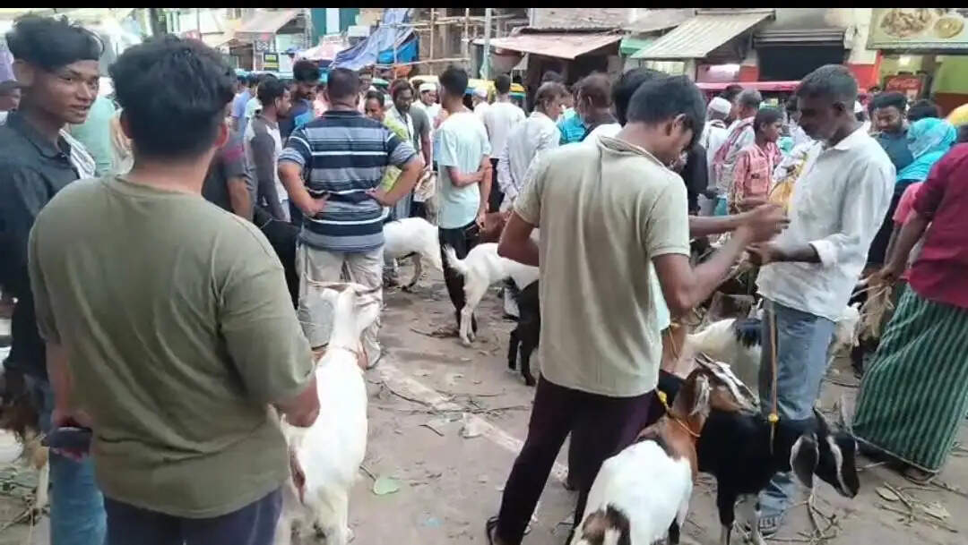 बकरीद को लेकर सजा बकरे का बाजार
