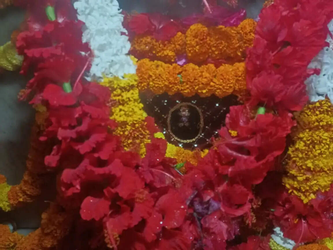 कुष्मांडा देवी पूजन पर गड़बड़ा धाम में उमड़ा जनसैलाब, 40 हजार श्रद्धालुओं ने टेका मत्था