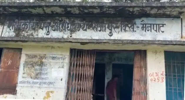 अम्बिकापुर : मैनपाट के राजापुर पशु चिकित्सालय में जान जोखिम में डालकर ड्यूटी करने को मजबूर कर्मचारी