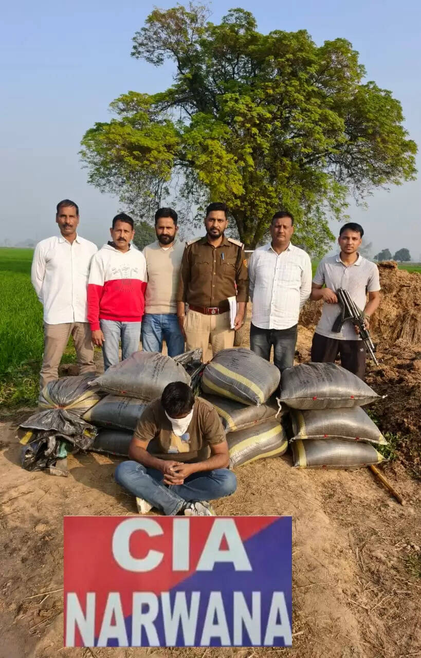 जींद : खेत में बने तहखाने से 276 किलोग्राम चूरा पोस्त बरामद