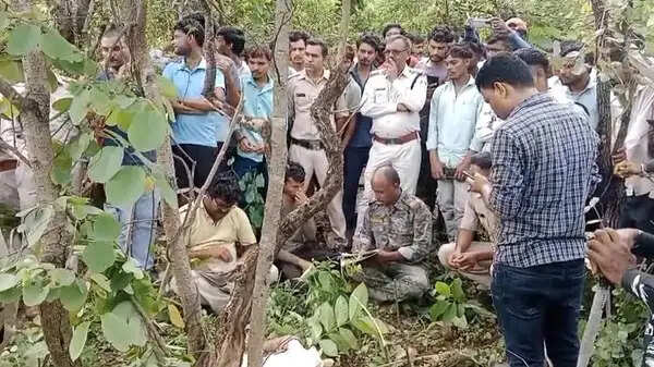 बालाघाट में बाघ के हमले से किसान की मौत, गांवों में दहशत का माहौल