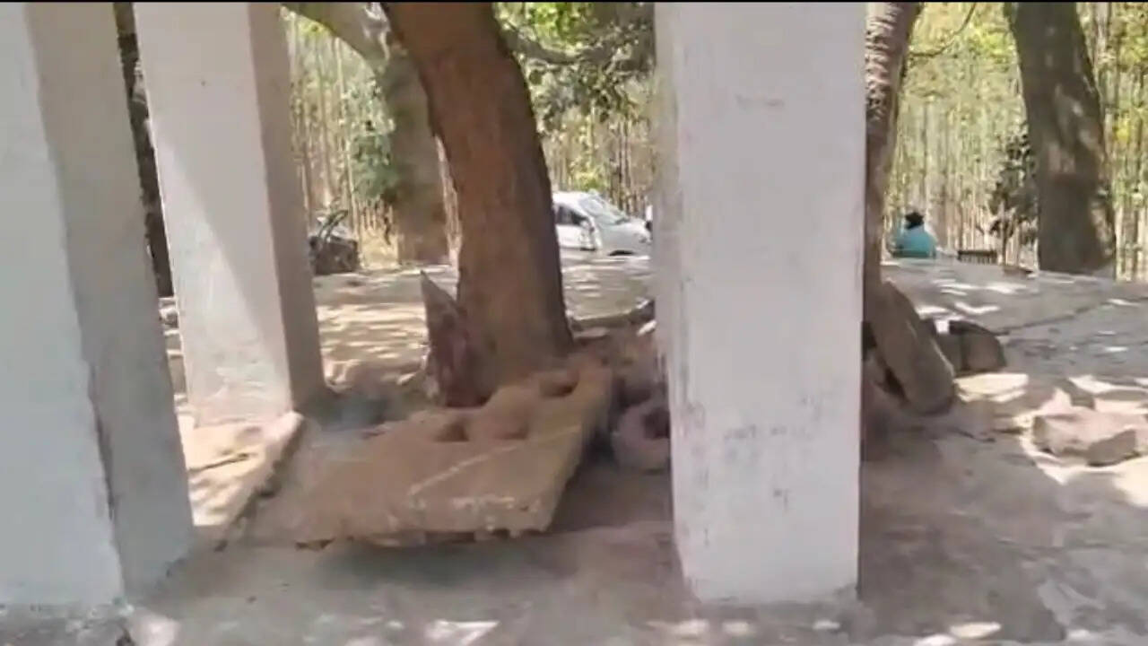 जशपुर : मंदिर में तोड़फोड़ व मूर्तियां खंडित, जल्द गिफ्तारी की मांग