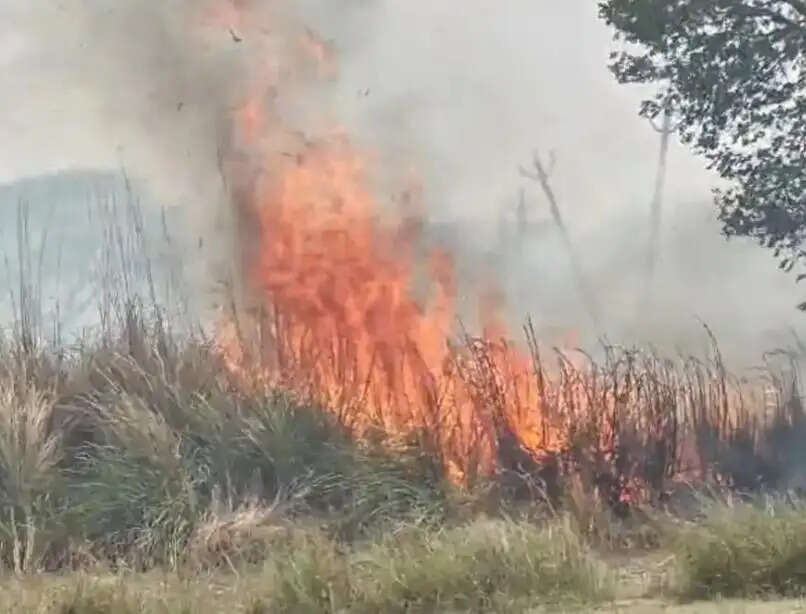 देवरिया: स्कूल के पास लगी आग से बाल-बाल बचे बच्चे, समय रहते पाया काबू
