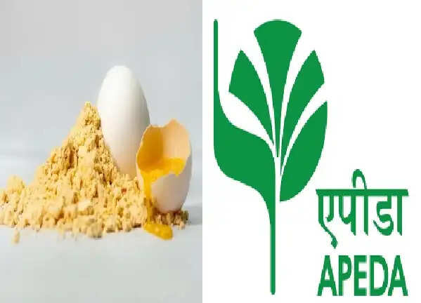 ओडिशा से ऑस्ट्रिया को सूखे साबुत अंडे के पाउडर की पहली खेप रवाना