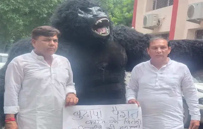 सोनीपत: जिला परिषद बैठक में गोरिल्ला बनकर पहुंचे पार्षद, पेंशन कटौती पर विरोध
