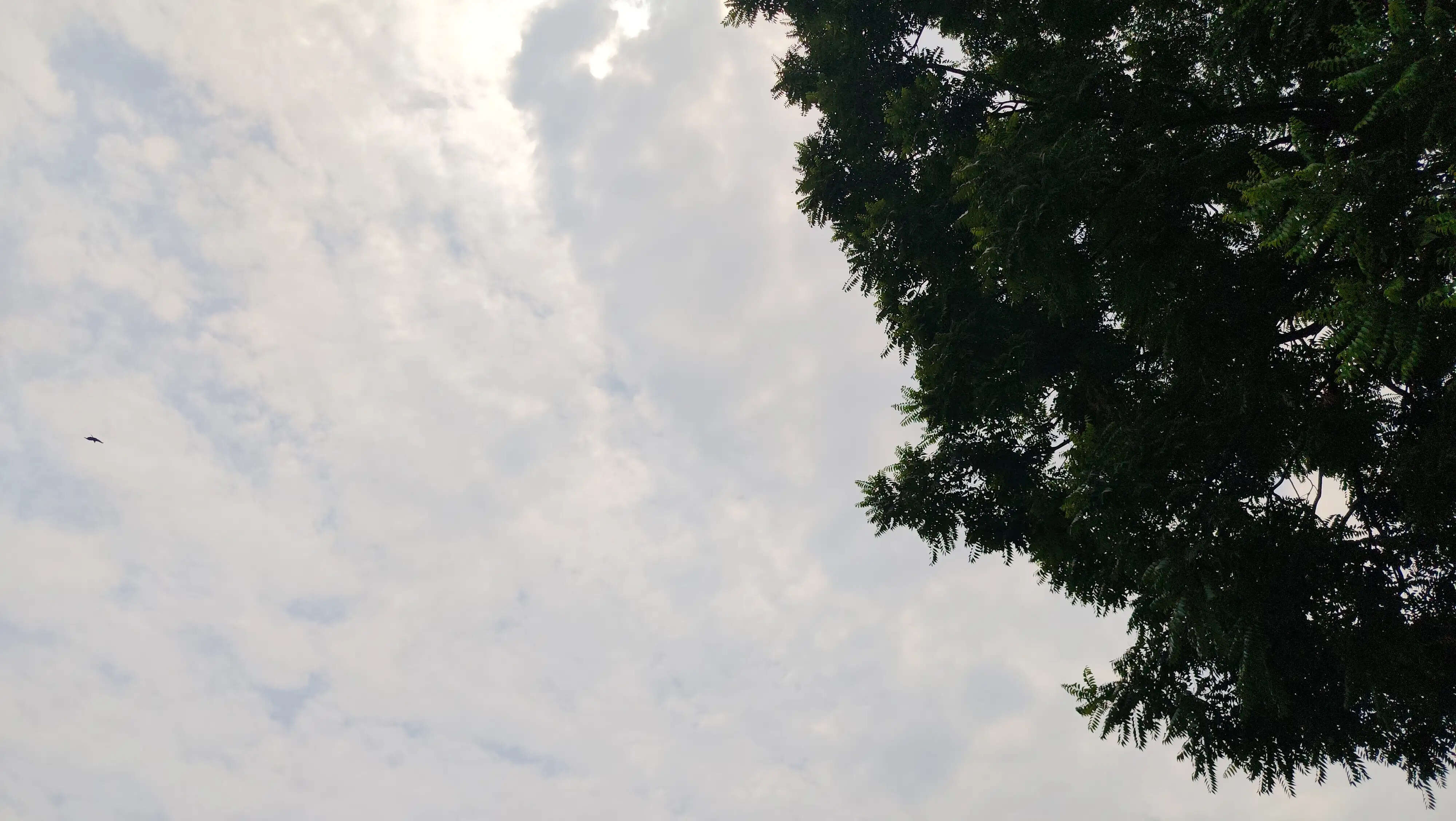 मैदानी इलाकों में गर्मी से राहत के आसार, अगले दो दिनों में गिरेगा तापमान
