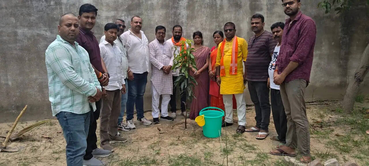 विश्व पर्यावरण दिवस पर भाजपा द्वारा वृक्षारोपण कार्यक्रम का हुआ आयोजन