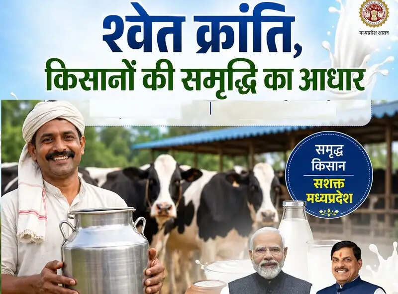 मध्य प्रदेश में श्वेत क्रांति : दूध की धार से बदलेगी गांव की अर्थव्यवस्था, देश के अग्रणी राज्यों में शामिल