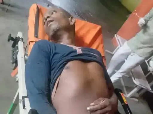 कोरबा : भोजन के दौरान विवाद, बड़े भाई ने कुल्हाड़ी से की छोटे भाई की हत्या