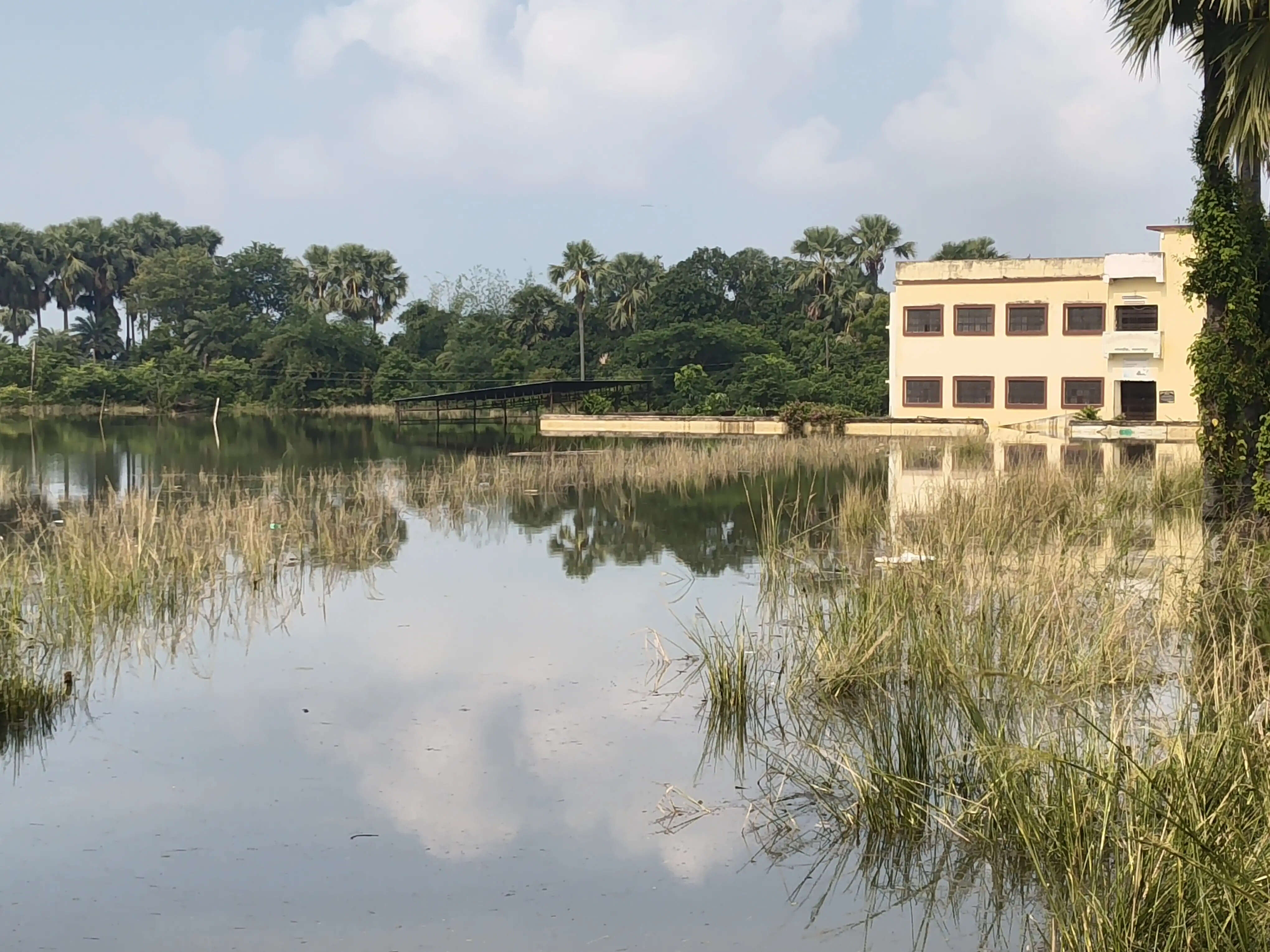 गोराडीह में बाढ़ का तांडव, दो दर्जन गांव जलमग्न, भागलपुर-गोराडीह मार्ग पर चढ़ा दो फीट पानी