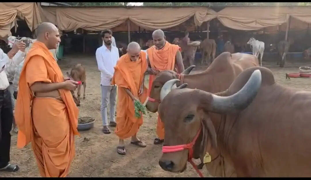अक्षरधाम स्वामीनारायण मंदिर में सजाई गई अलौकिक झांकी