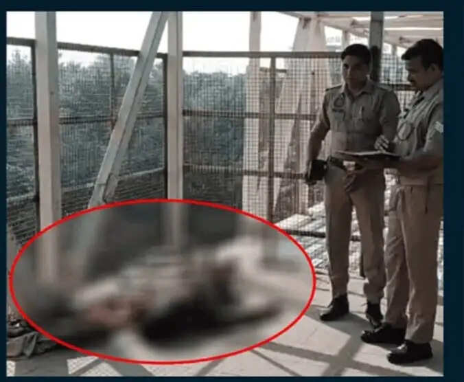 फुट ओवर ब्रिज के नीचे मिला युवक का लहूलुहान शव, हत्या की आशंका
