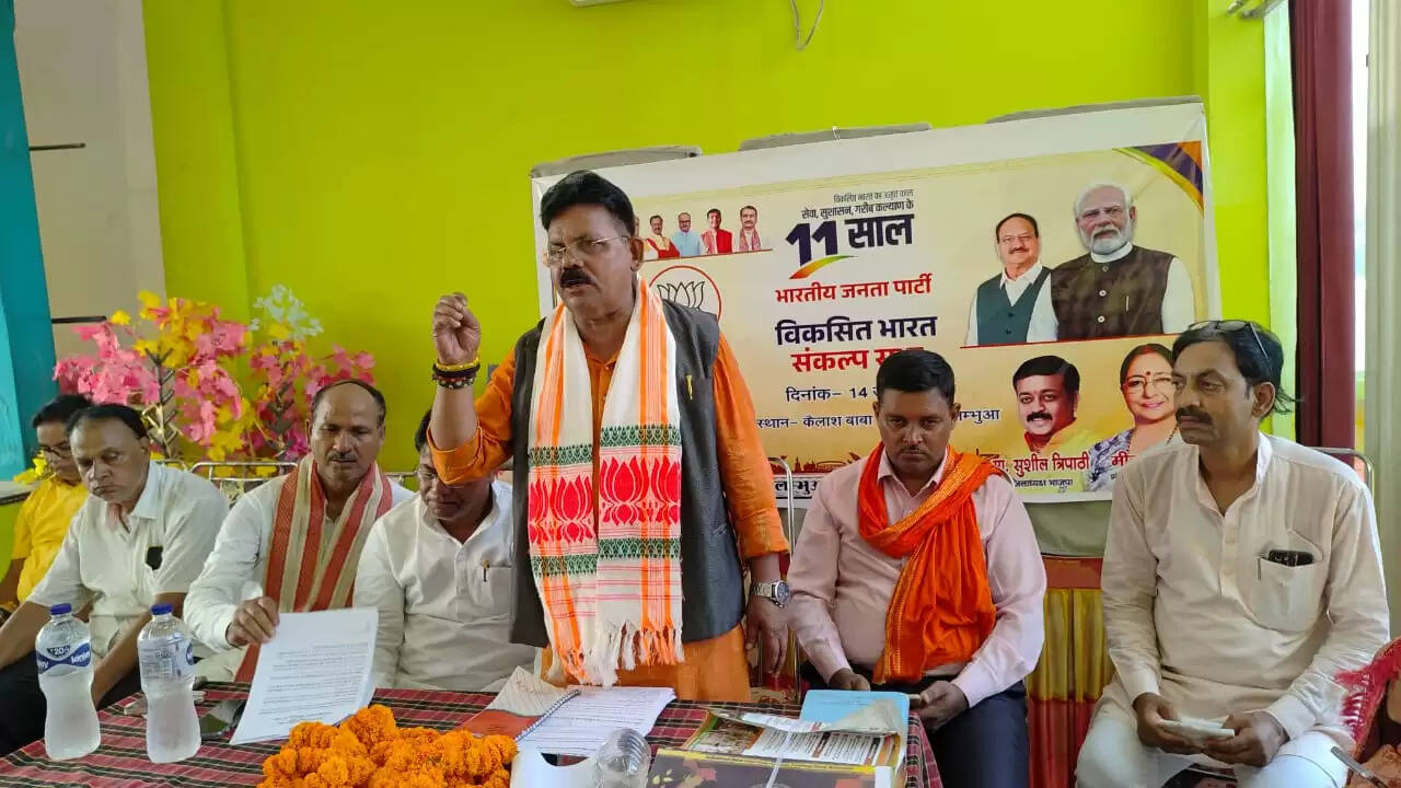 जापान व ब्रिटेन से आगे निकला भारत: विजय रघुवंशी