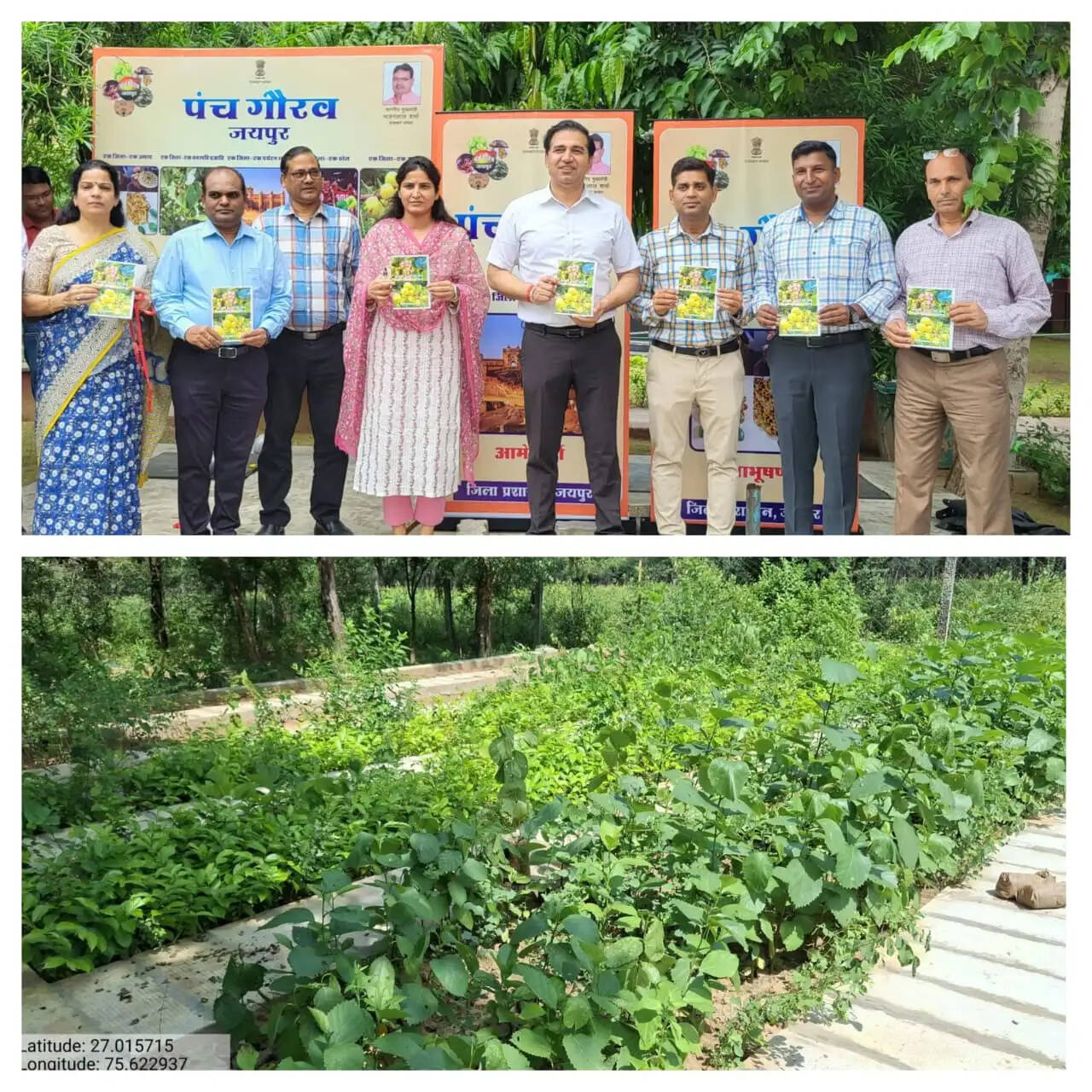 जयपुर में पर्यावरण संरक्षण एवं अर्थव्यवस्था सुदृढ़ीकरण का पर्याय बन रहा लिसोड़ा