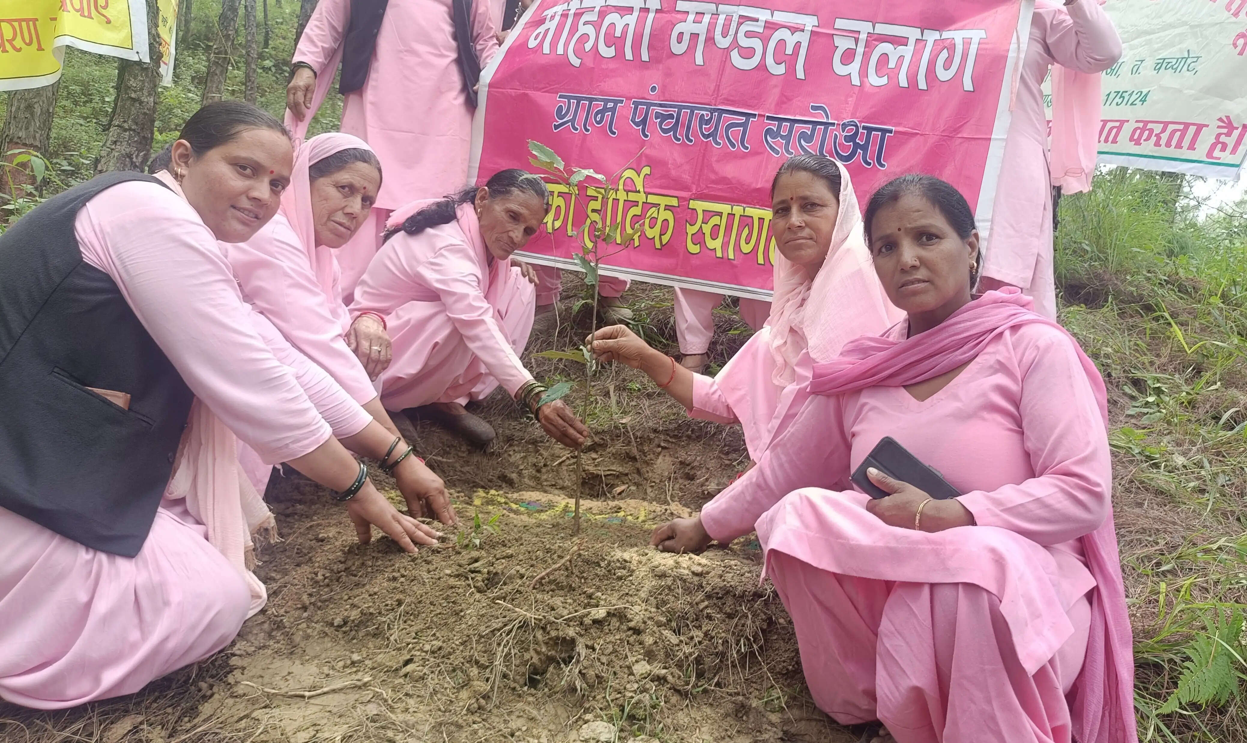 महिला मंडल ने बनाया अपना भवन, साथ लगते जंगल को बदल दिया देवदार के जंगल में