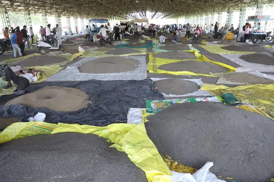 मप्र के नीमच जिले की हर्बल मंडी की देशभर में धूम, कई राज्यों से पहुंच रहे किसान