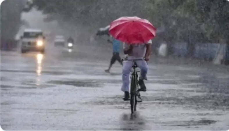गुजरात में प्री-मानसून बारिश तेज, तापी-नर्मदा में रेड अलर्ट
