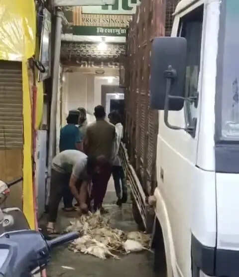 जबलपुर: वायरल वीडियो से चिकन सेंटर पर उठे सवाल, पुलिस पहुंची दुकान सील करने