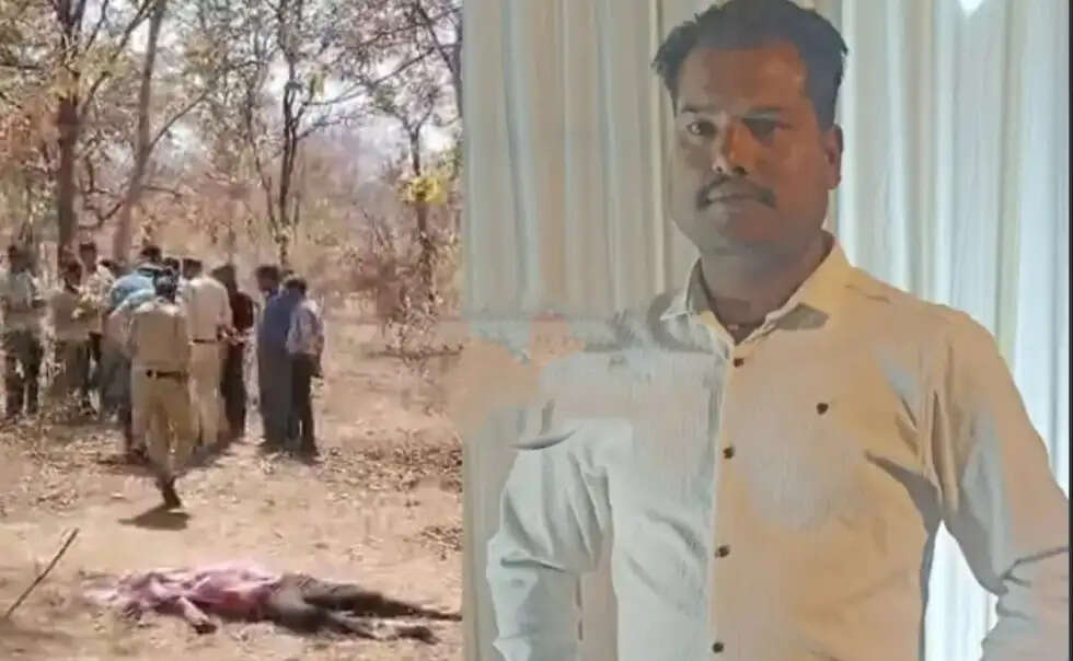 सागर: टाइगर रिजर्व के जंगल में मिला युवक का शव