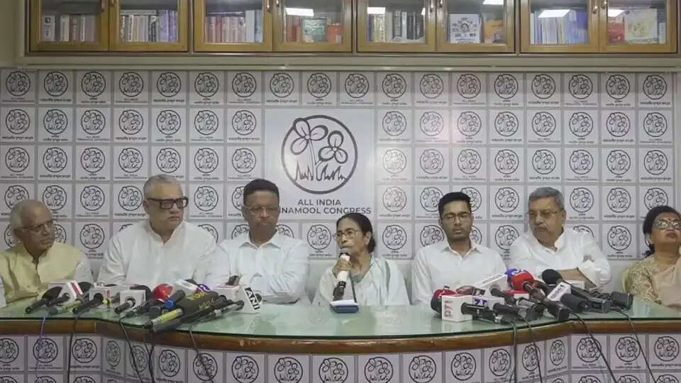 मैं इस्तीफा नहीं दूंगी, हम चुनाव नहीं हारे : ममता बनर्जी