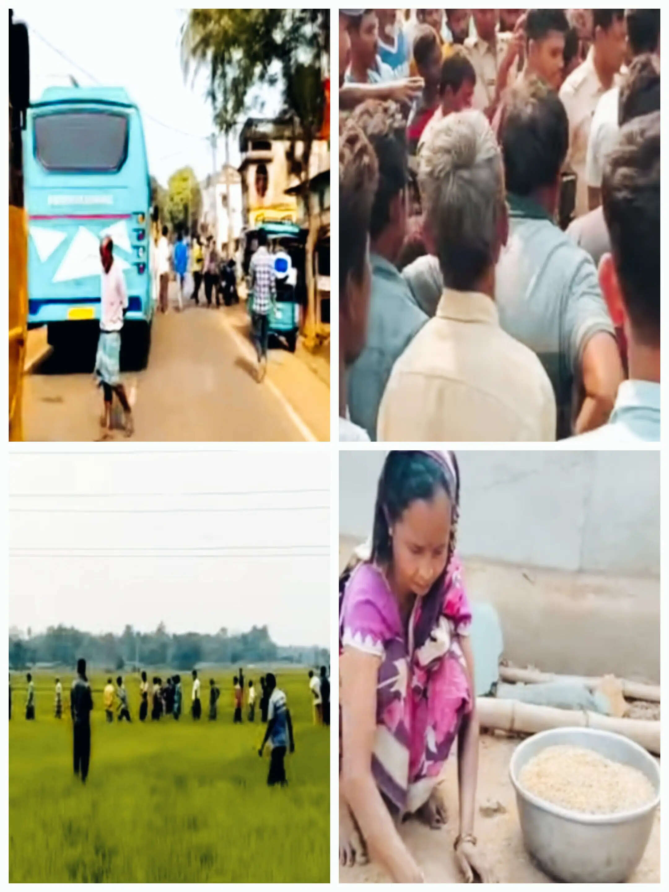 मेदिनीपुर में हाथियों का आतंक : तीन घर तहस नहस, सौ बीघा फसल बर्बाद