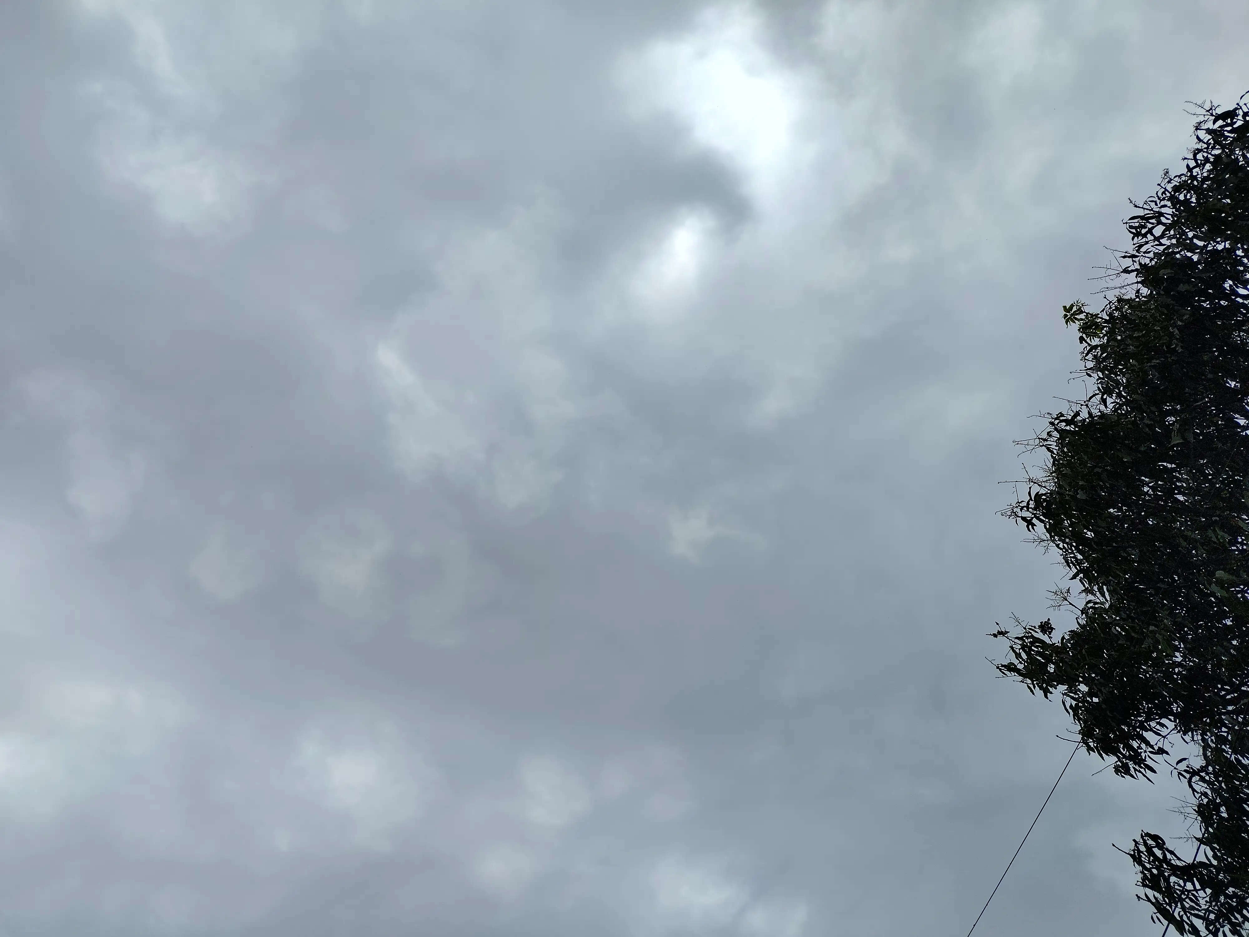 उत्तराखंड में मौसम का बदला मिजाज, कई जिलों में बारिश-आंधी का अलर्ट