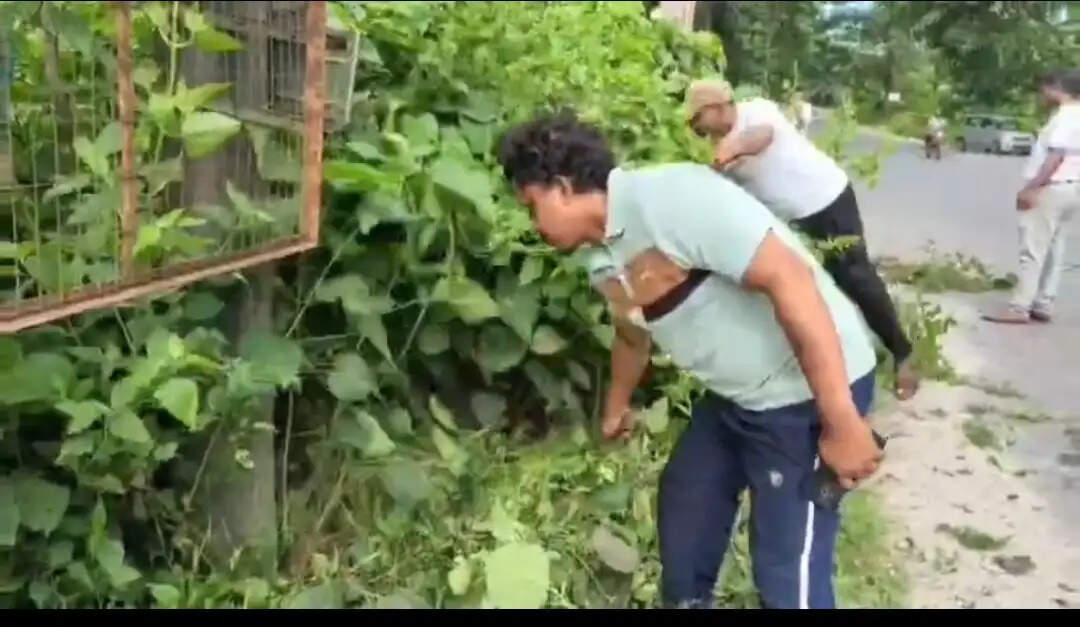 डॉ. श्यामा प्रसाद मुखर्जी की 125वीं जयंती पर सेवा अभियान
