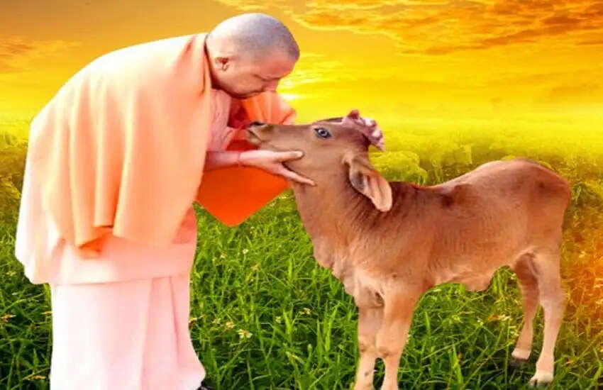 गो संरक्षण में अब जेन जी की एंट्री, गांव-गांव तैयार होंगे 10 हजार ‘गो मित्र'