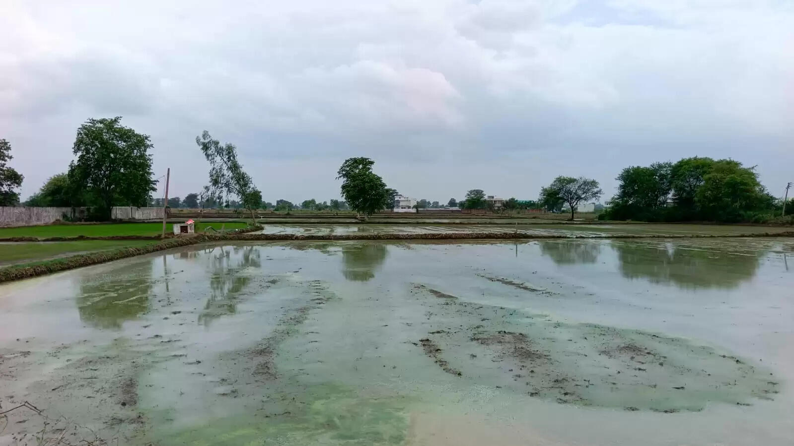 खरीफ फसल की जुताई-मताई में किसान व्यस्त, हो रहा वर्षा का इंतजार