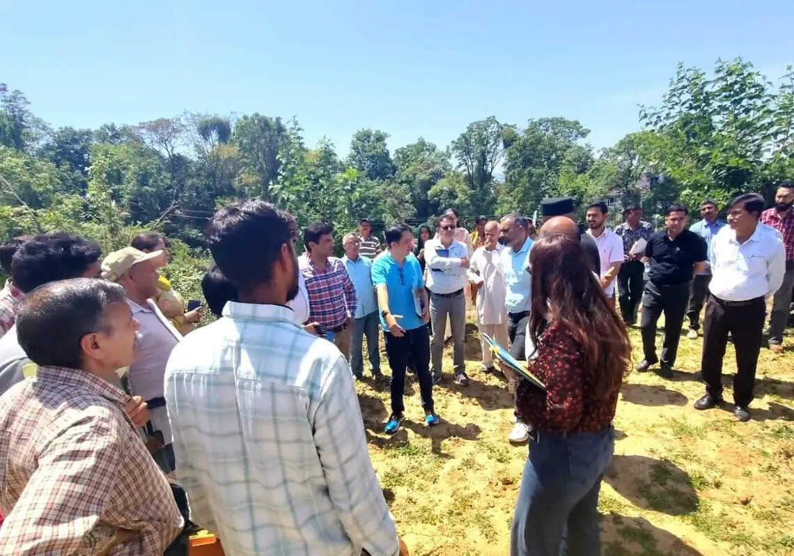 तमरोह क्लस्टर में जापानी फल की दस्तकः एचपी शिवा परियोजना बनी सहारा