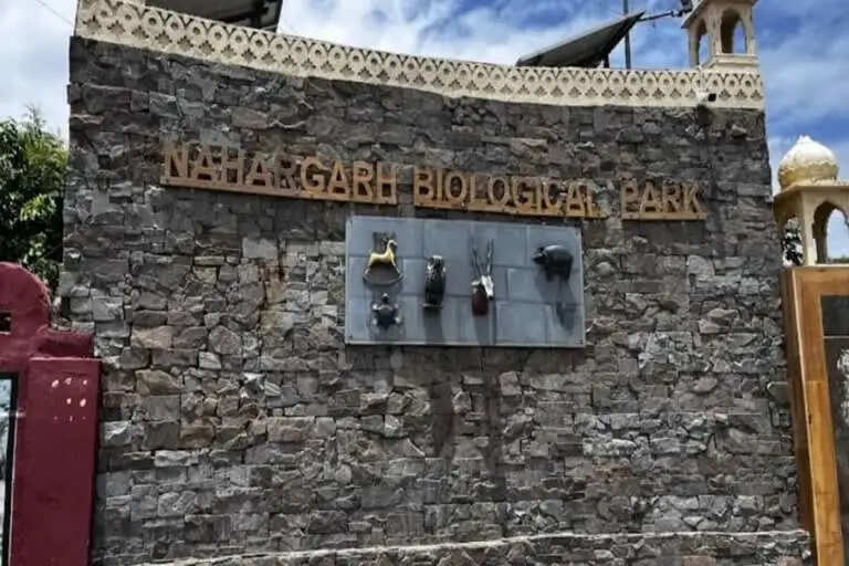 धुलंडी पर नाहरगढ़ जैविक उद्यान में खुशखबरी: मादा हिप्पो रानी ने दिया बच्चे को जन्म