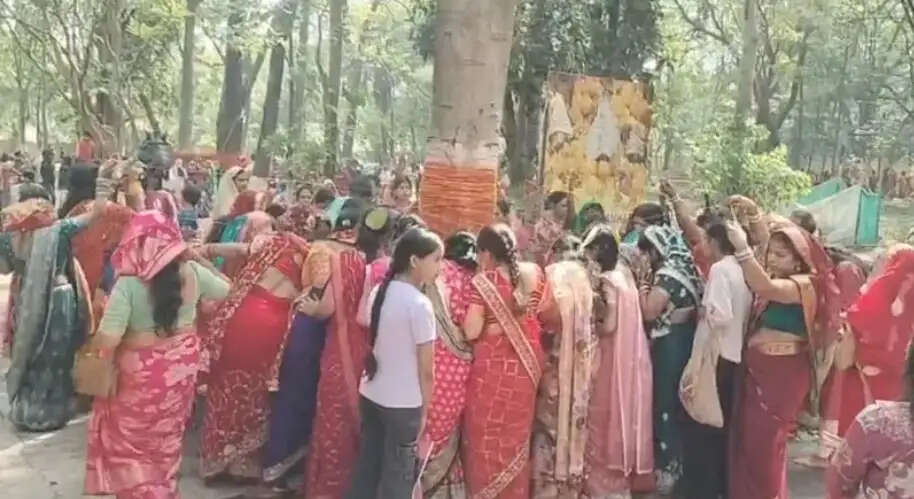 बट सावित्री व्रत पर भक्ति में डूबा जमशेदपुर, सुहागिन महिलाओं ने वट वृक्ष की पूजा कर मांगा अखंड सौभाग्य
