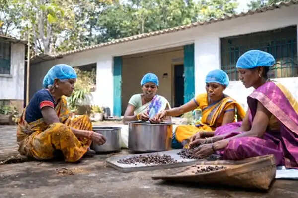 वन धन केंद्रों से बदल रही जनजातीय महिलाओं की तकदीर, मप्र में ‘नारी शक्ति’ बन रही आत्मनिर्भर