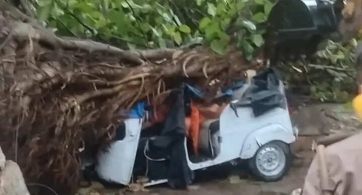 आंधी-बारिश बनी आफत, पेड़ गिरने से दो की मौत, बेटी गंभीर