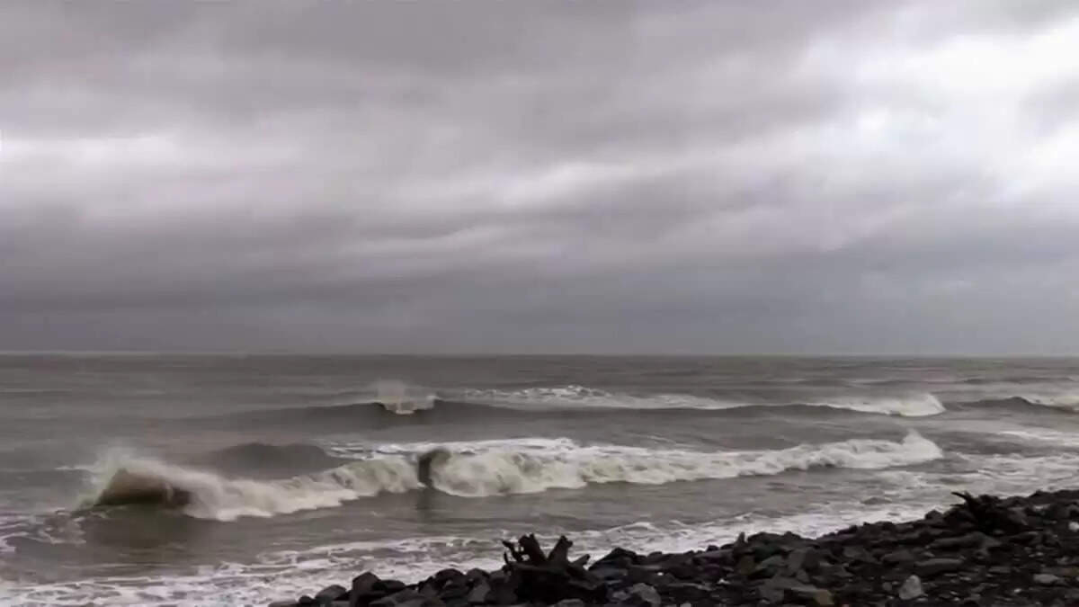चक्रवात 'मोंथा' ने मचाई तबाही, दक्षिण-पूर्वी भारत में भारी बारिश की चेतावनी, तमिलनाडु के दो जिलों में स्कूल बंद, 60 ट्रेनें रद्द