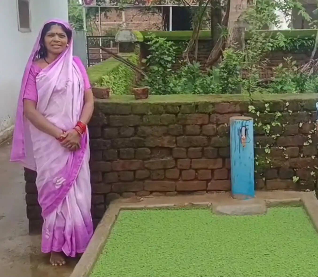 तालाब की अजोला बनी आदिवासी महिलाओं की ताकत, प्राकृतिक खेती और आजीविका का नया आधार