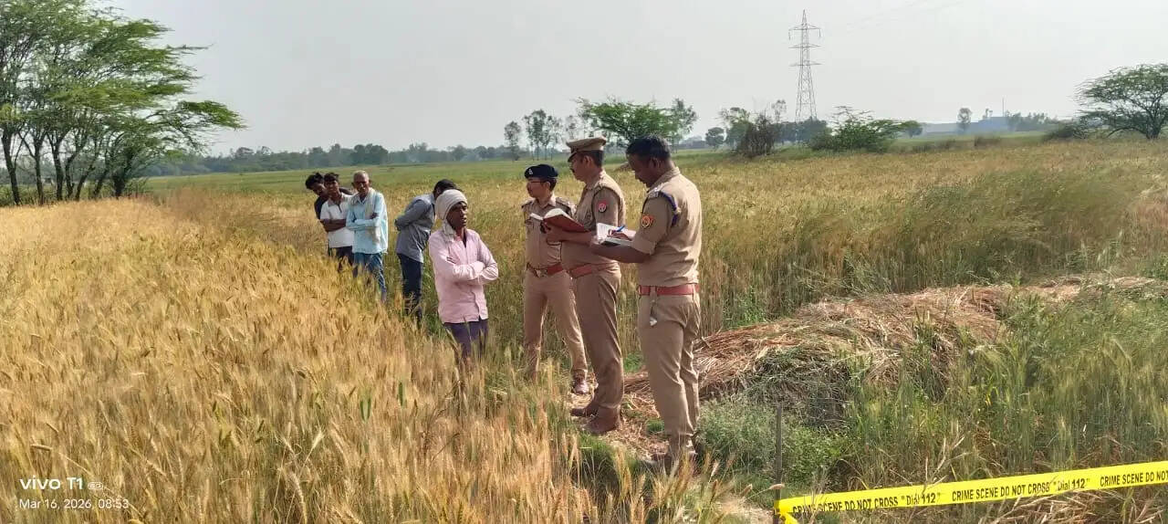 विवाहिता का शव गेहूं के खेत मिला, पुलिस की चार टीमें जांच में जुटी