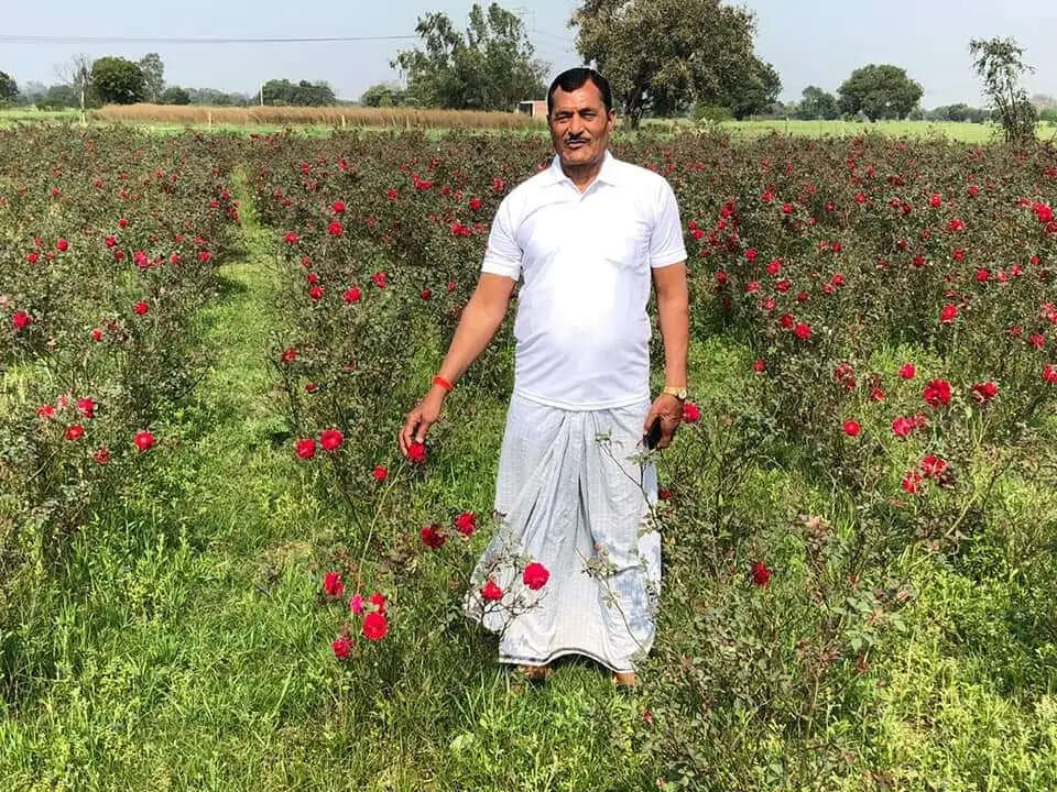 कलकतिया गेंदे' की खेती से चमकी कानपुर के किसान की किस्मत